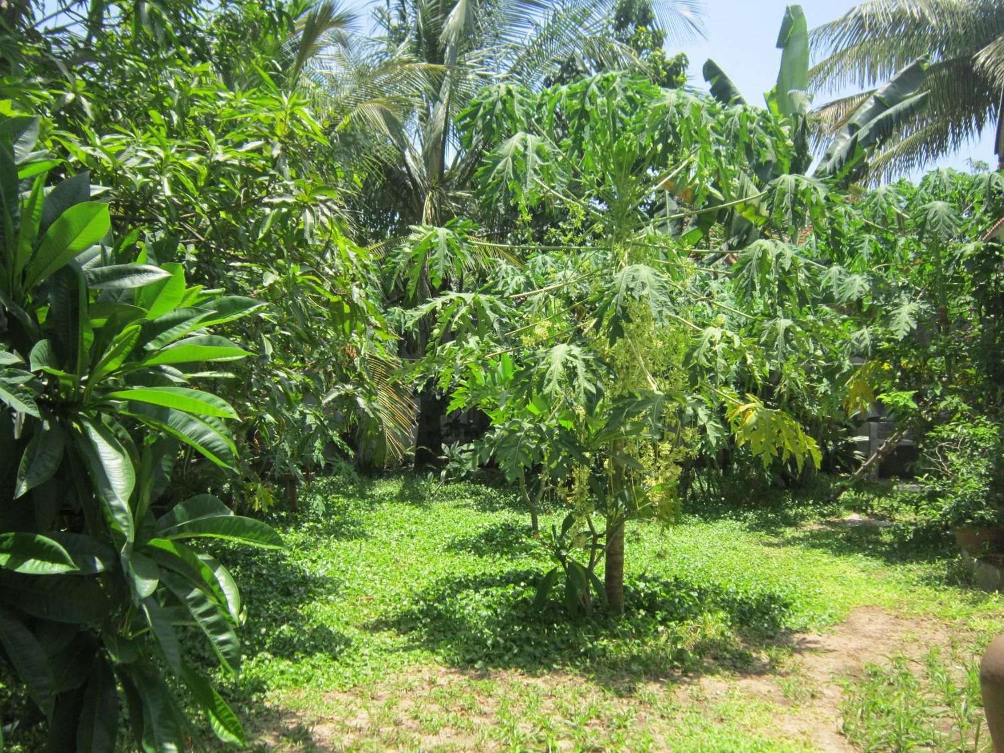 Local Beach Homestay Hoi An Esterno foto